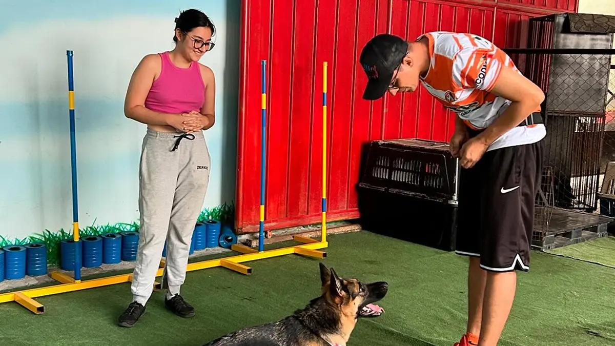 Video Club Canes Amigo Canino